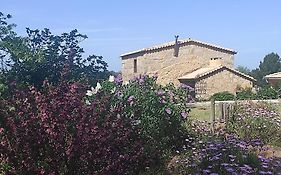 Quinta Damigo